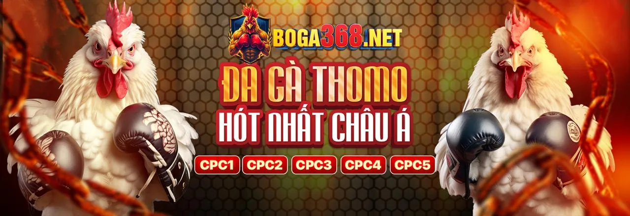Đá gà trực tuyến kịch tính trên AXZ88 link mới